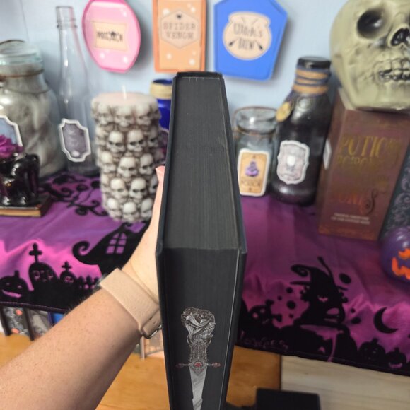 Where Shadows Meet by Patrice Caldwell Fairyloot March 2025 Eternal Embrace - Picture 7 of 8